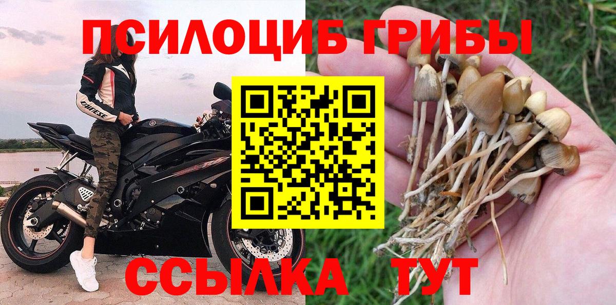 Галлюциногенные грибы мицелий Скопин
